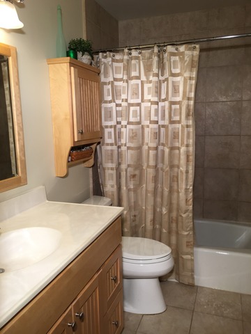 3496 Meadow Crest Circle Gurnee, IL 60031 - Photo 20 of 25 a bathroom with a sink a toilet and shower