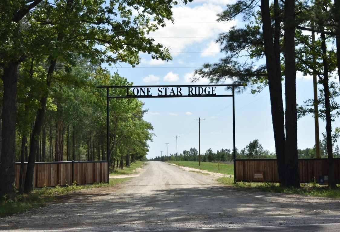 102 Robertson Road Lovelady, TX 75851 - Photo 1 of 4 a view of a park with large trees