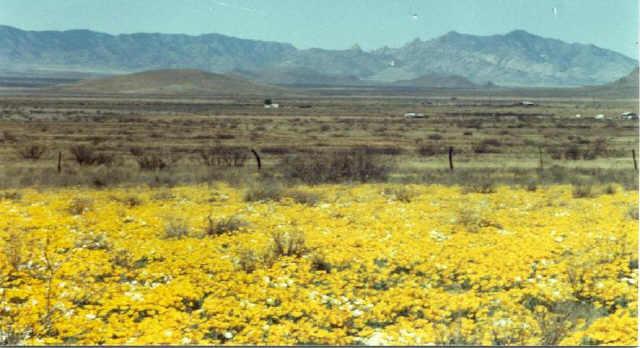 0 White Tail Ridge Road, Unit 5 Pearce, AZ 85625 - Photo 1 of 6 Primary Photo