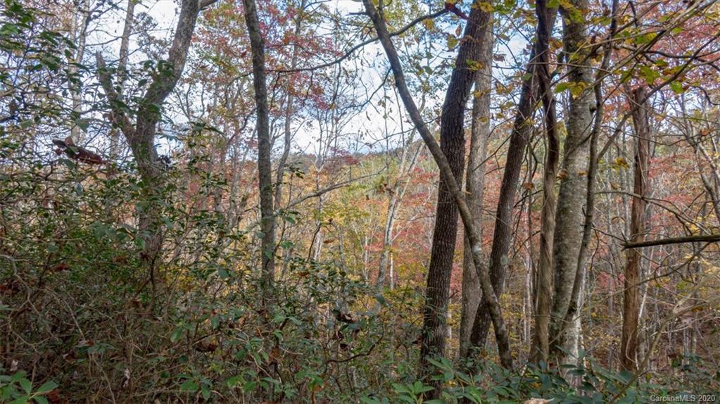 Lot 110 Ladd Ridge, Unit TBD Rosman, NC 28772 - Photo 1 of 25 Gallery Image 1