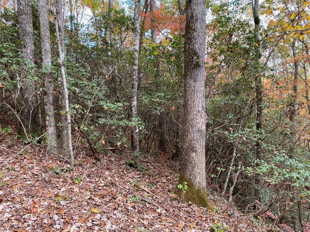 Lot 110 Ladd Ridge, Unit TBD Rosman, NC 28772 - Photo 2 of 25 Gallery Image 2