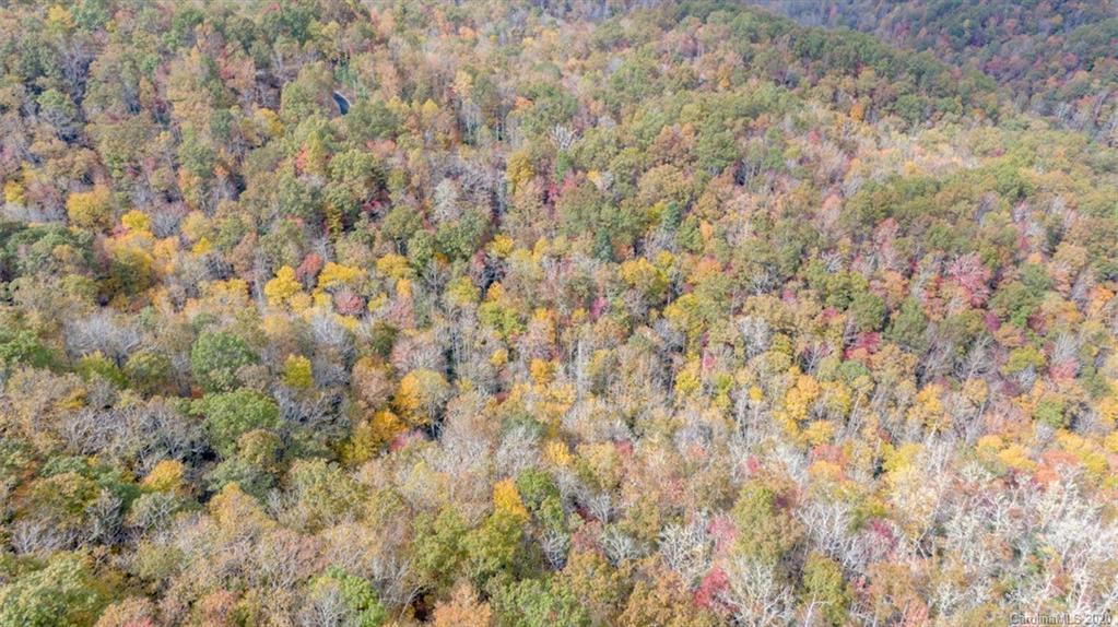 Lot 110 Ladd Ridge, Unit TBD Rosman, NC 28772 - Photo 11 of 25 Gallery Image 11