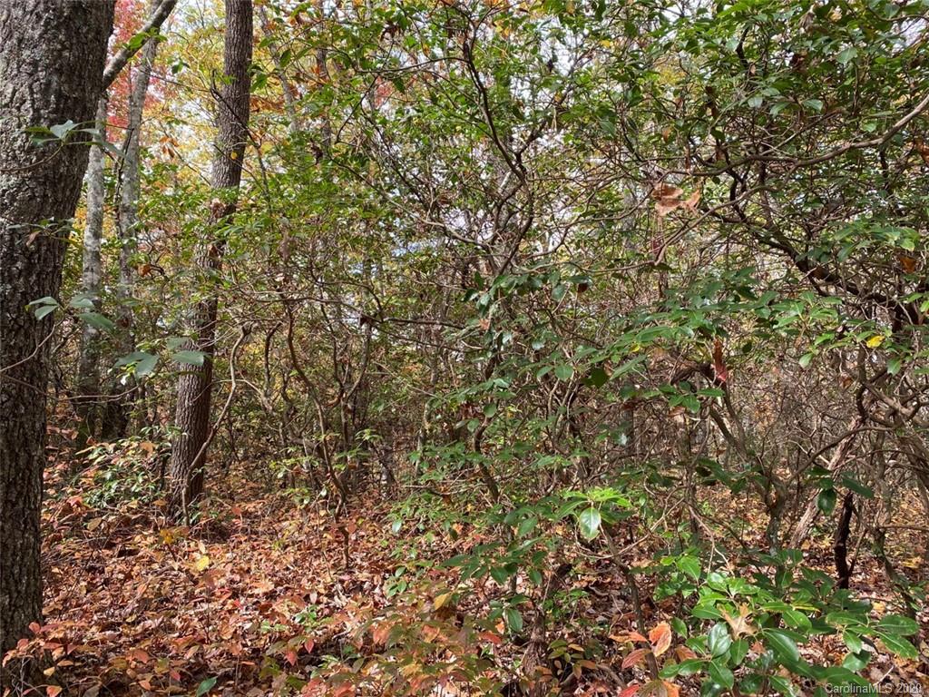 Lot 110 Ladd Ridge, Unit TBD Rosman, NC 28772 - Photo 12 of 25 Gallery Image 12
