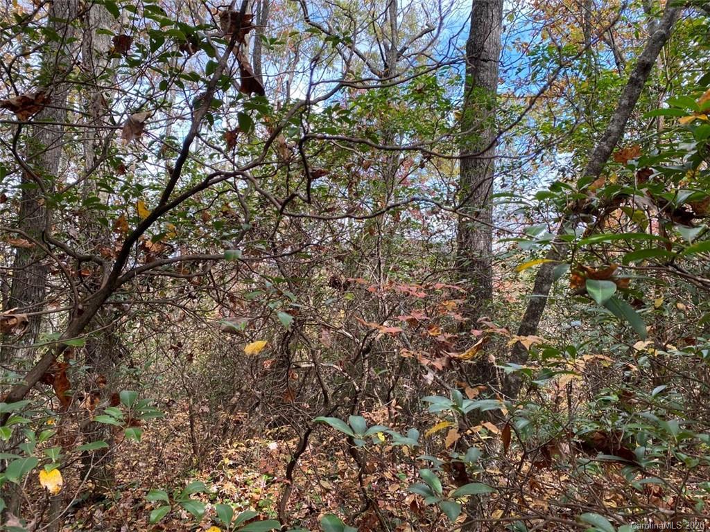 Lot 110 Ladd Ridge, Unit TBD Rosman, NC 28772 - Photo 14 of 25 Gallery Image 14