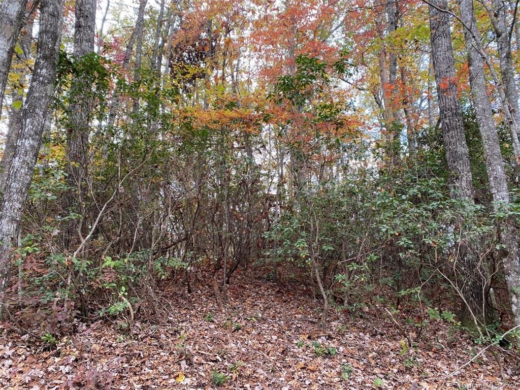 Lot 110 Ladd Ridge, Unit TBD Rosman, NC 28772 - Photo 15 of 25 Gallery Image 15