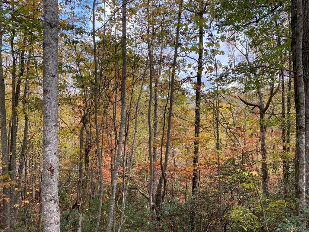 Lot 110 Ladd Ridge, Unit TBD Rosman, NC 28772 - Photo 16 of 25 Gallery Image 16