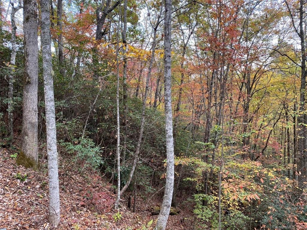 Lot 110 Ladd Ridge, Unit TBD Rosman, NC 28772 - Photo 17 of 25 Gallery Image 17