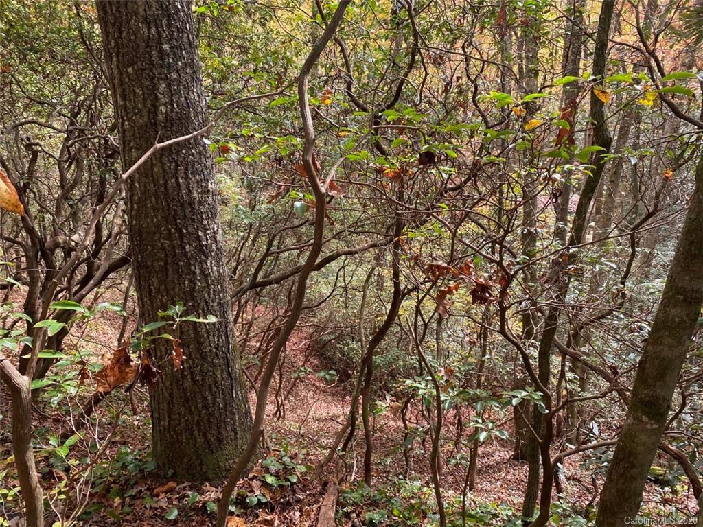 Lot 110 Ladd Ridge, Unit TBD Rosman, NC 28772 - Photo 18 of 25 Gallery Image 18