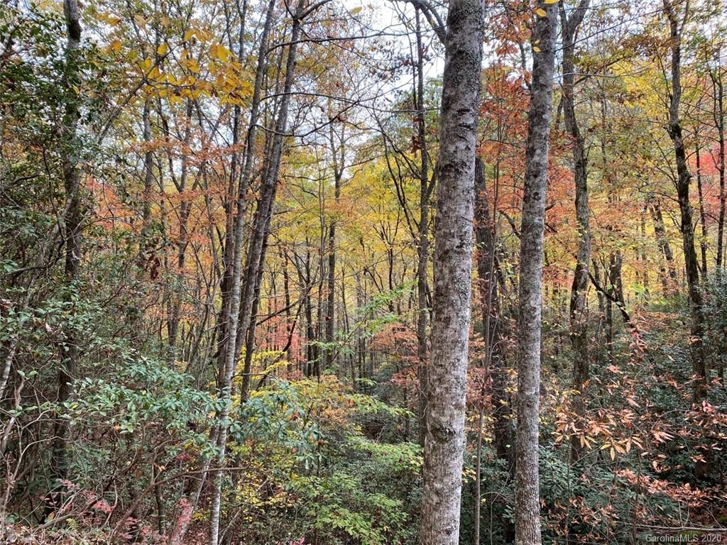 Lot 110 Ladd Ridge, Unit TBD Rosman, NC 28772 - Photo 19 of 25 Gallery Image 19