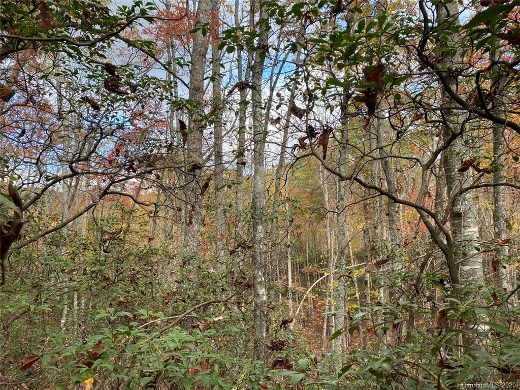 Lot 110 Ladd Ridge, Unit TBD Rosman, NC 28772 - Photo 20 of 25 Gallery Image 20