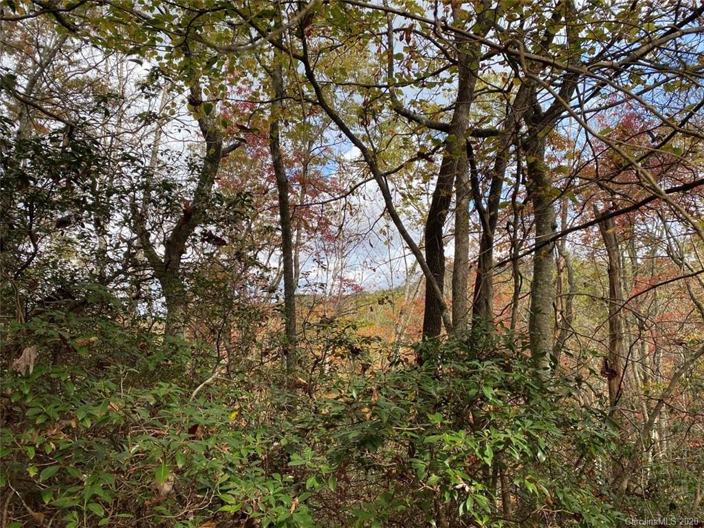 Lot 110 Ladd Ridge, Unit TBD Rosman, NC 28772 - Photo 3 of 25 Gallery Image 3