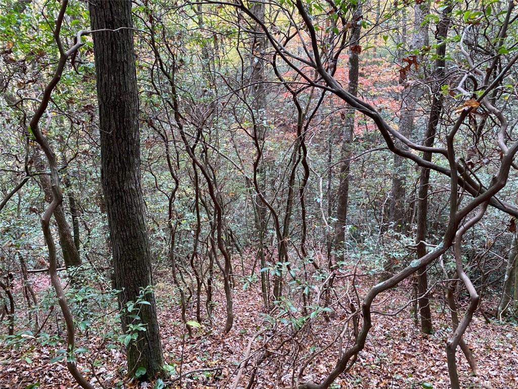 Lot 110 Ladd Ridge, Unit TBD Rosman, NC 28772 - Photo 21 of 25 Gallery Image 21