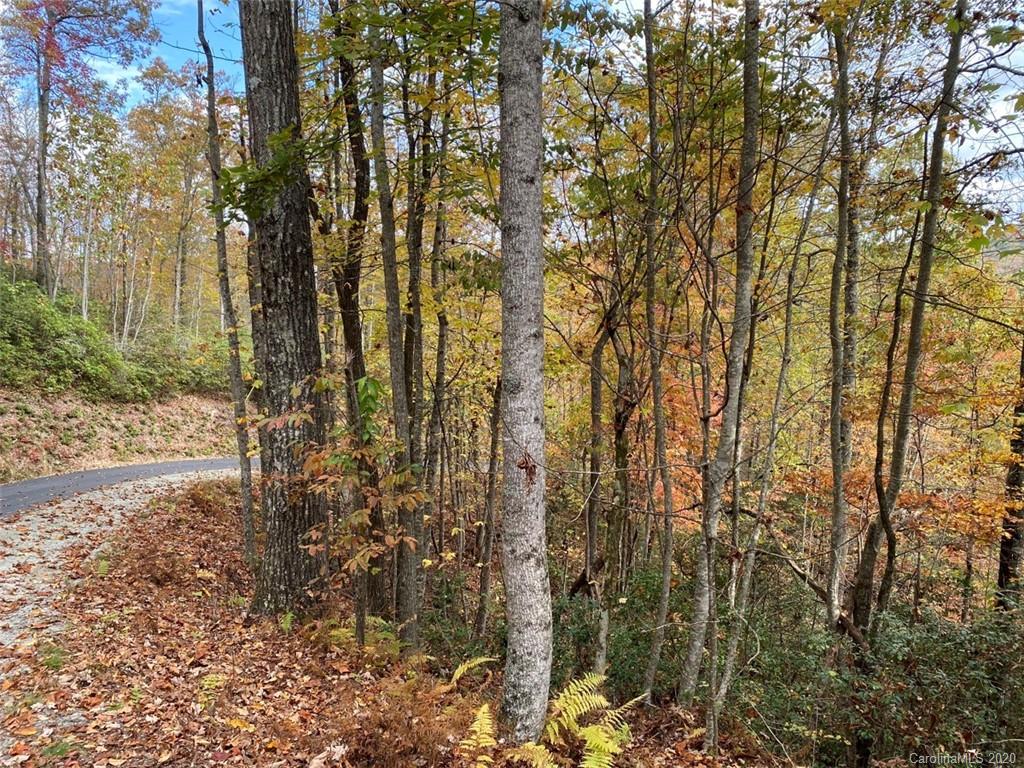 Lot 110 Ladd Ridge, Unit TBD Rosman, NC 28772 - Photo 22 of 25 Gallery Image 22