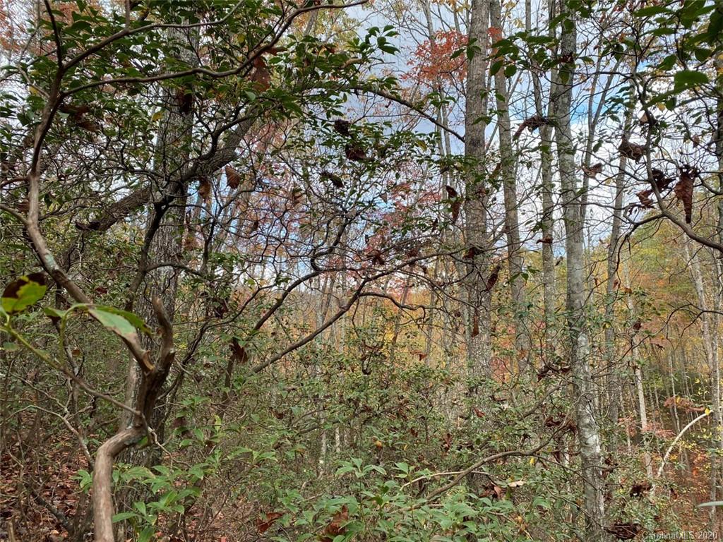 Lot 110 Ladd Ridge, Unit TBD Rosman, NC 28772 - Photo 23 of 25 Gallery Image 23