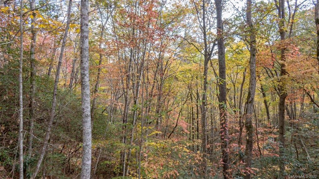 Lot 110 Ladd Ridge, Unit TBD Rosman, NC 28772 - Photo 24 of 25 Gallery Image 24