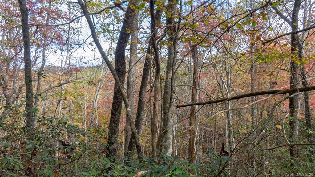 Lot 110 Ladd Ridge, Unit TBD Rosman, NC 28772 - Photo 25 of 25 Gallery Image 25