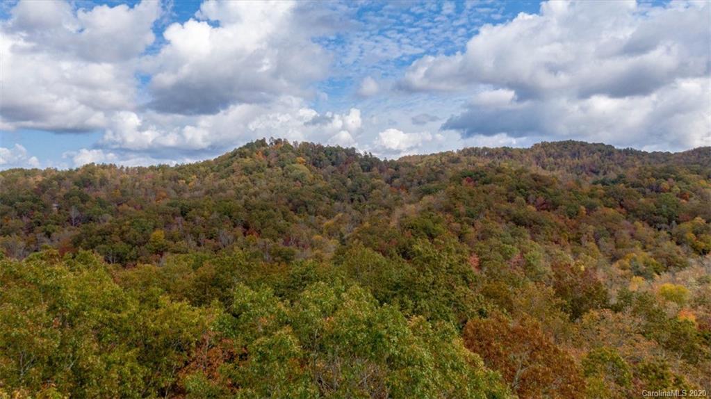 Lot 110 Ladd Ridge, Unit TBD Rosman, NC 28772 - Photo 4 of 25 Gallery Image 4