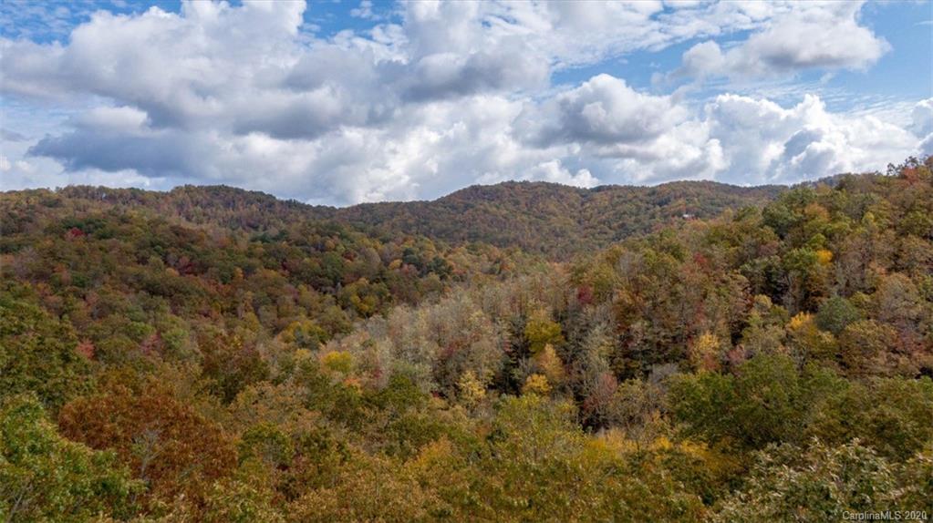 Lot 110 Ladd Ridge, Unit TBD Rosman, NC 28772 - Photo 5 of 25 Gallery Image 5