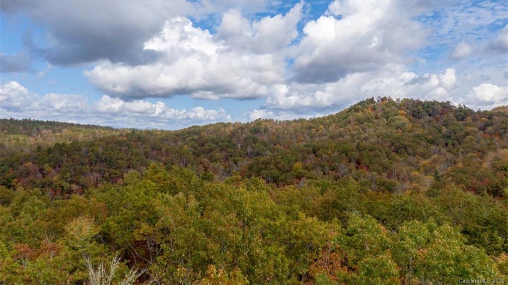 Lot 110 Ladd Ridge, Unit TBD Rosman, NC 28772 - Photo 6 of 25 Gallery Image 6