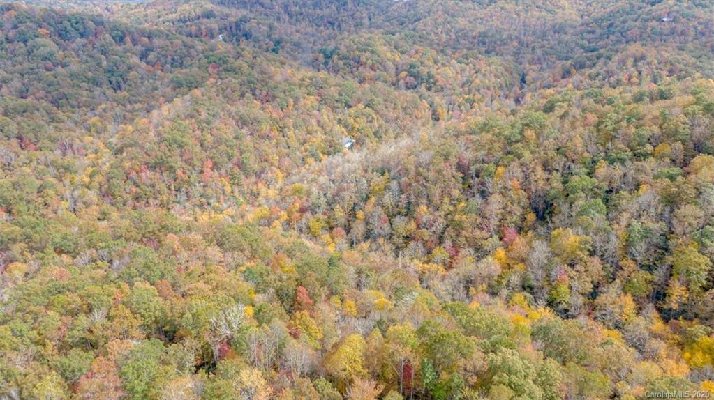 Lot 110 Ladd Ridge, Unit TBD Rosman, NC 28772 - Photo 7 of 25 Gallery Image 7