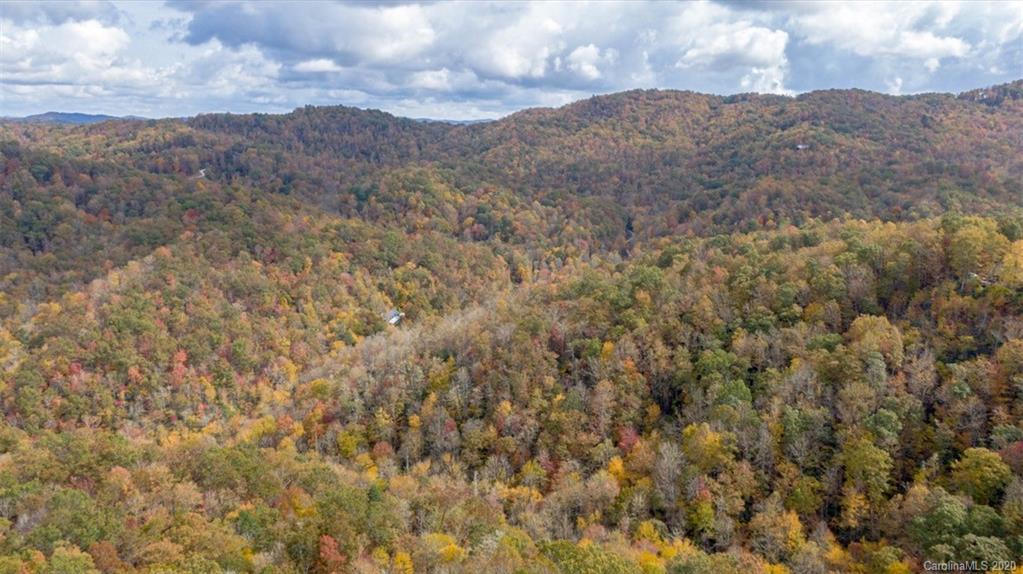 Lot 110 Ladd Ridge, Unit TBD Rosman, NC 28772 - Photo 8 of 25 Gallery Image 8