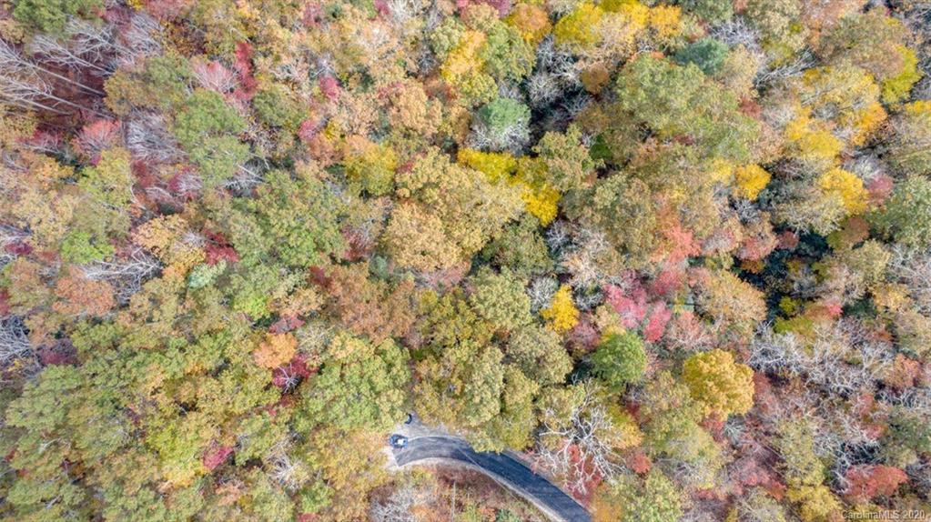 Lot 110 Ladd Ridge, Unit TBD Rosman, NC 28772 - Photo 9 of 25 Gallery Image 9
