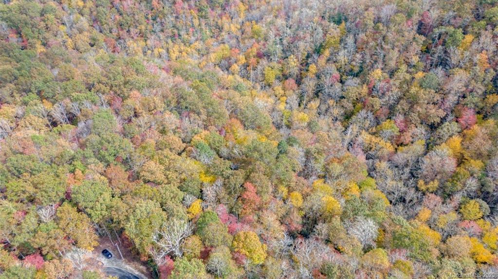Lot 110 Ladd Ridge, Unit TBD Rosman, NC 28772 - Photo 10 of 25 Gallery Image 10