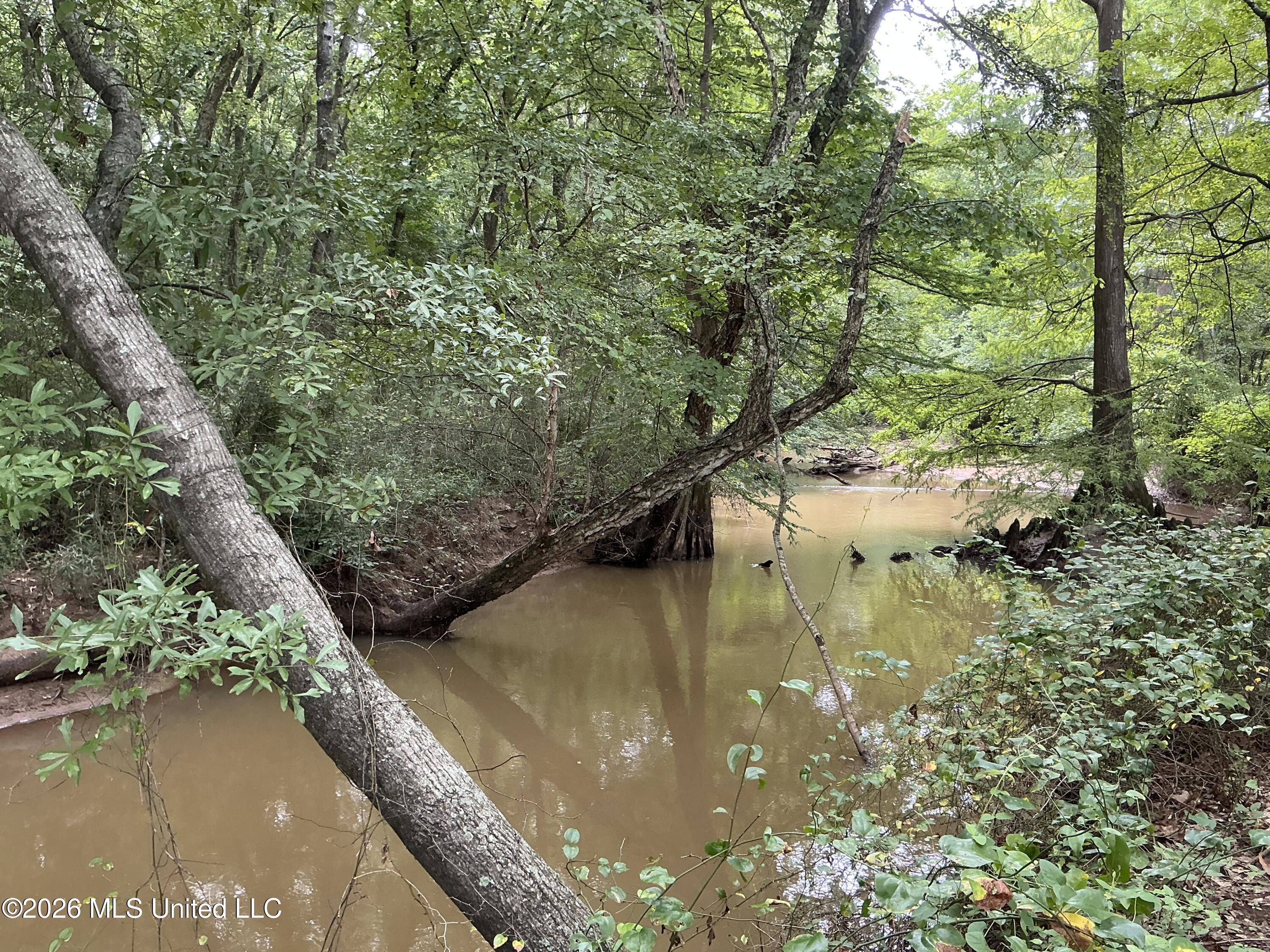 Cayce Road Byhalia, MS 38611 - Photo 24 of 35 IMG_0855