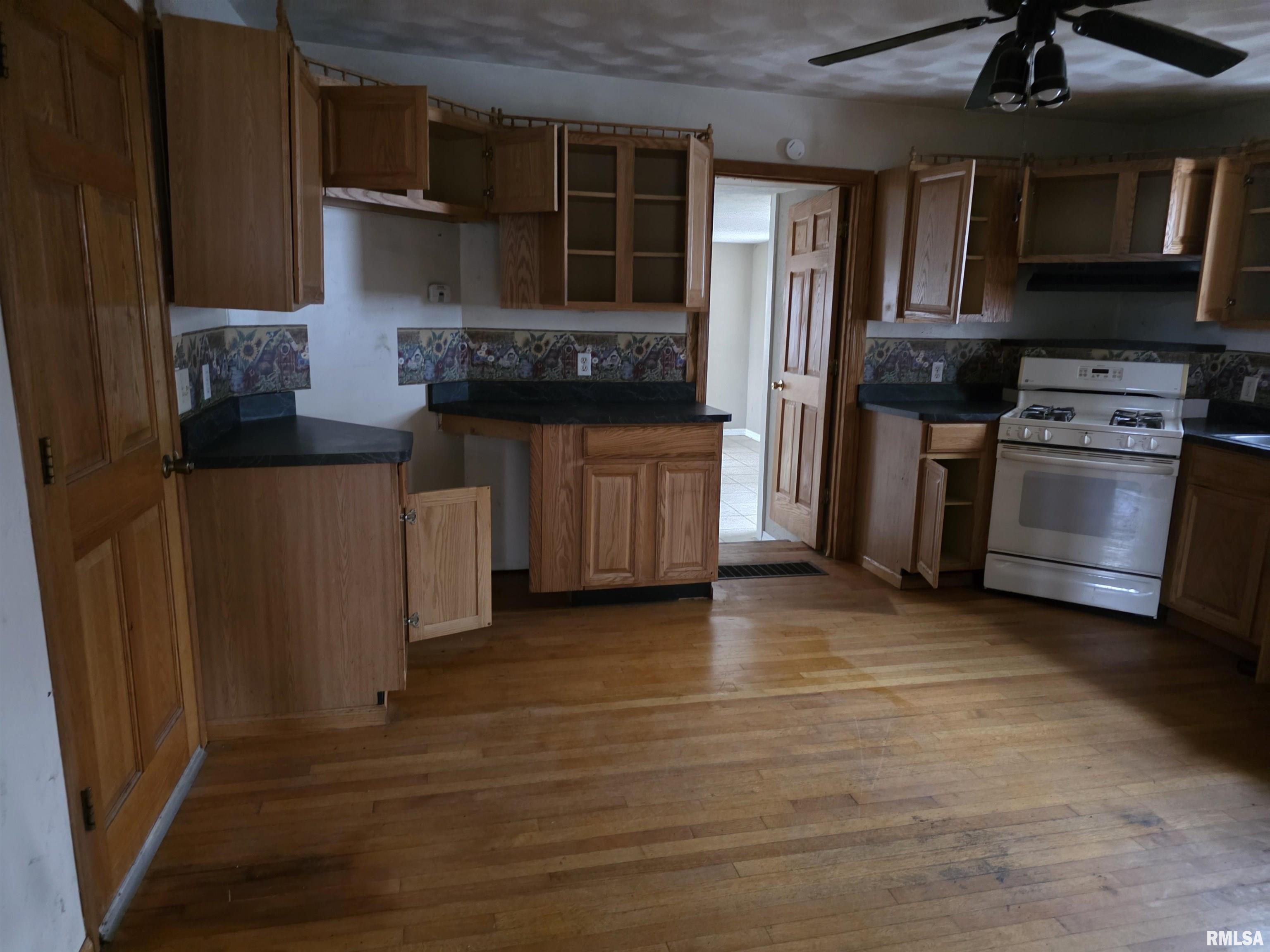 608 South Pine Street Delavan, IL 61734 - Photo 5 of 15