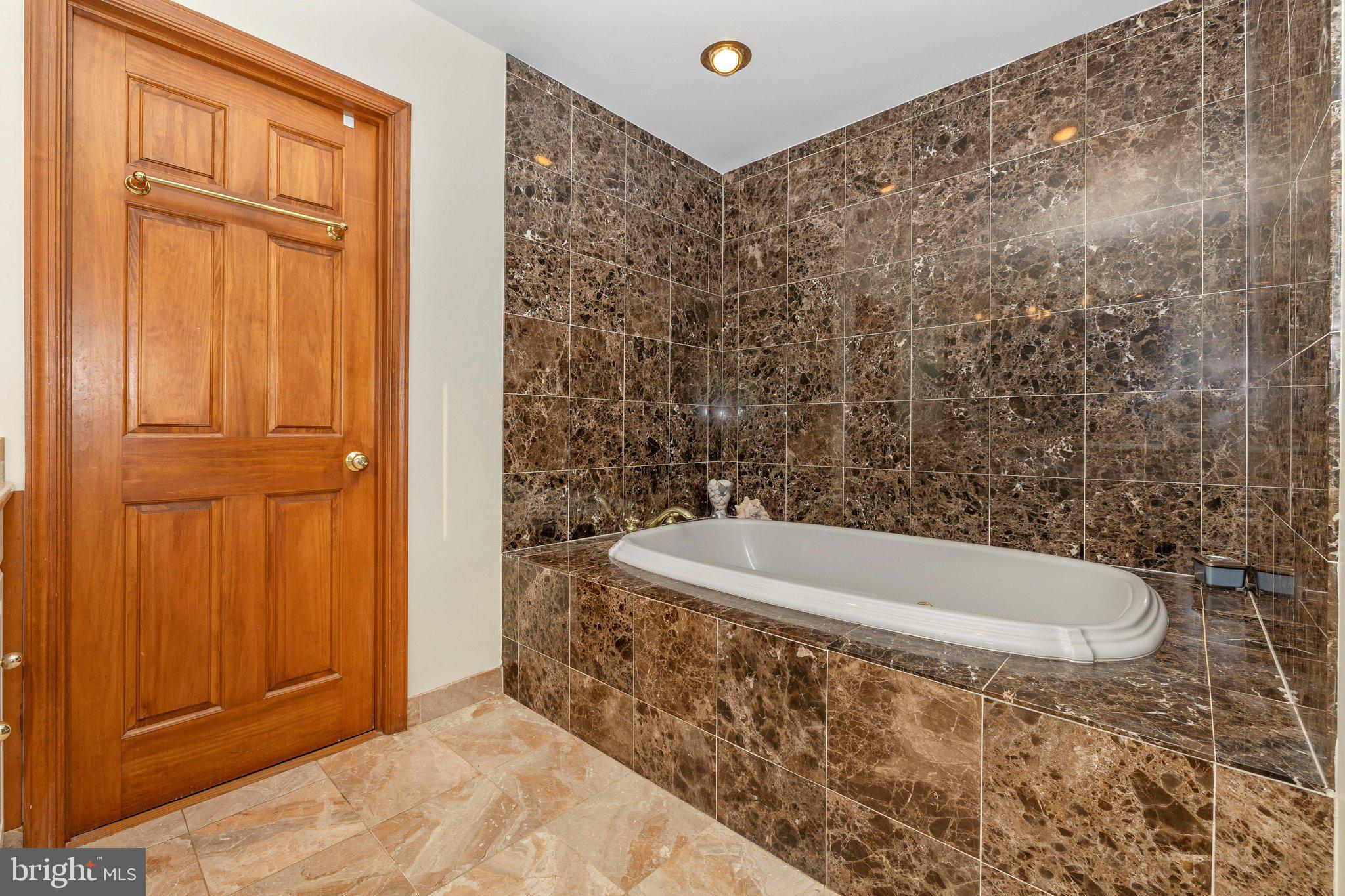 2444 Mullinix Mill Road Mount Airy, MD 21771 - Photo 26 of 66 Primary Bathroom