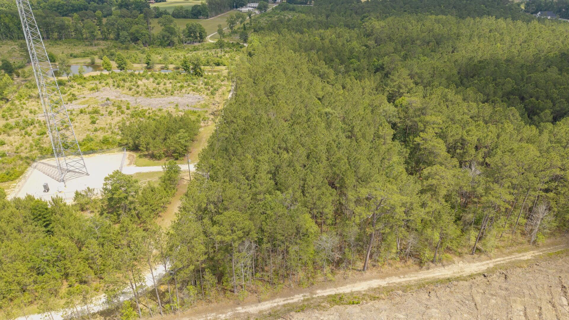 6222 Saints Delight Road, Unit LOT 8 Georgetown, SC 29440 - Photo 25 of 26