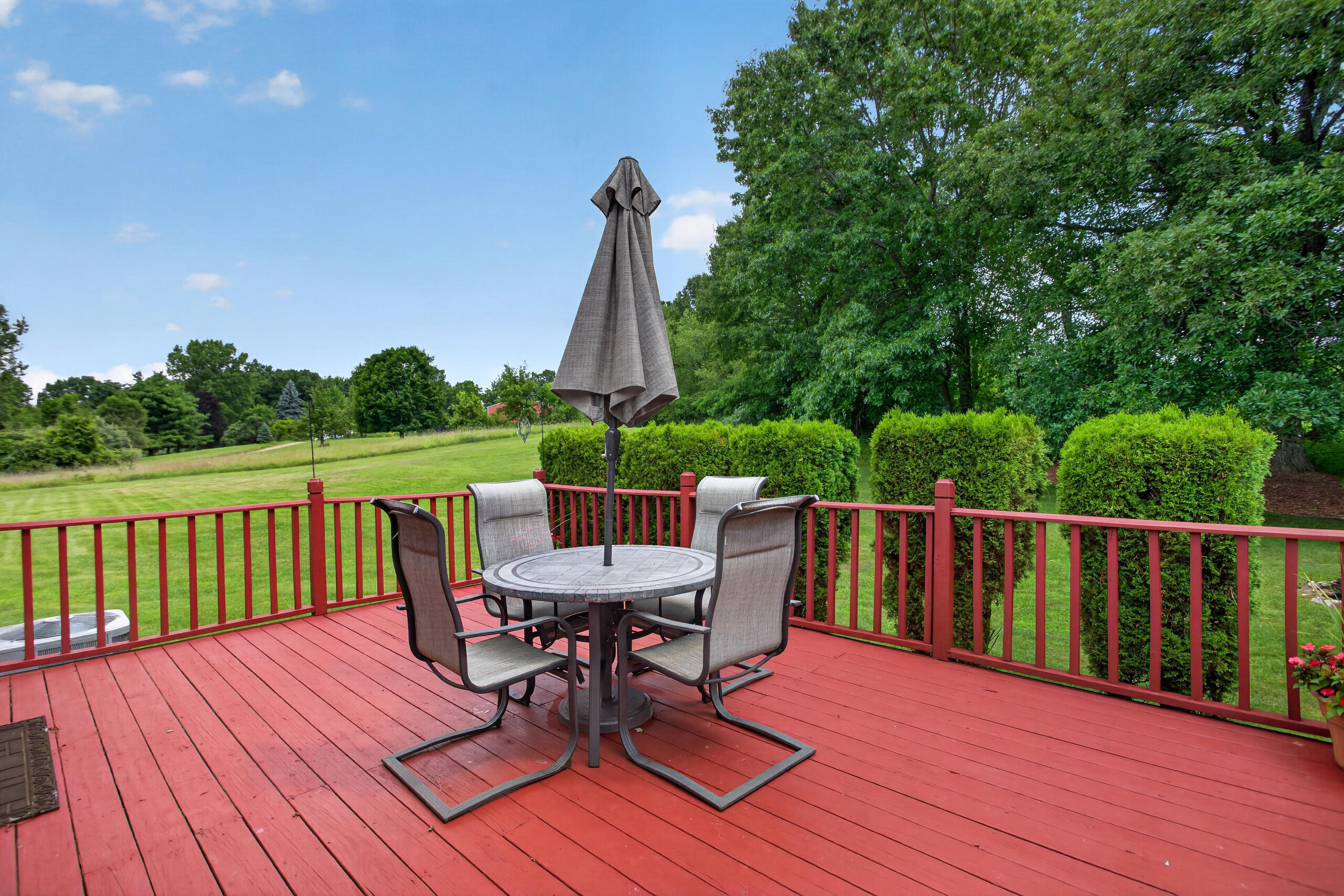 3651 Dexter Trail Stockbridge, MI 49285 - Photo 12 of 54 Deck