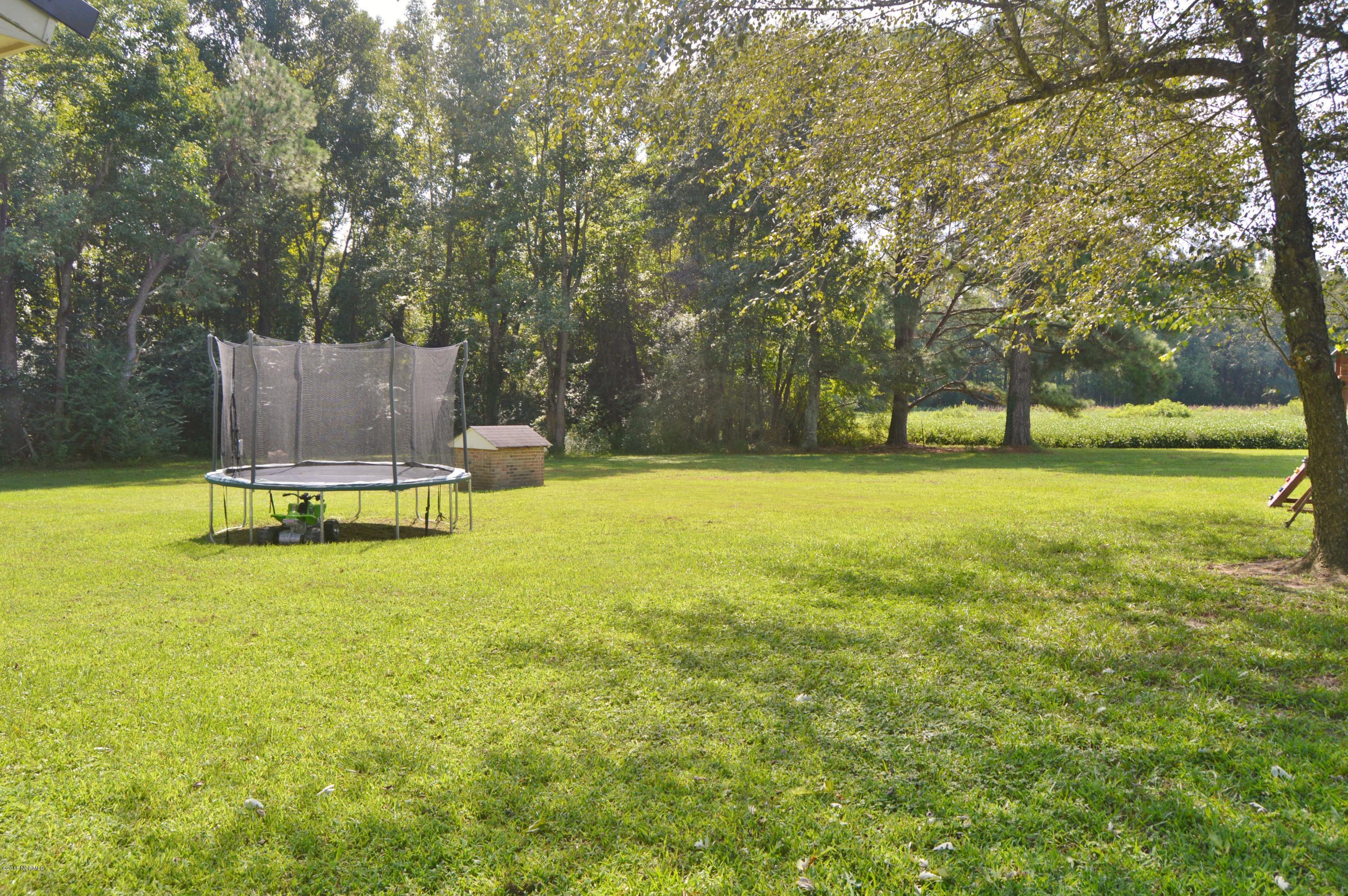4929 Pelham Road Willard, NC 28478 - Photo 15 of 17 back yard