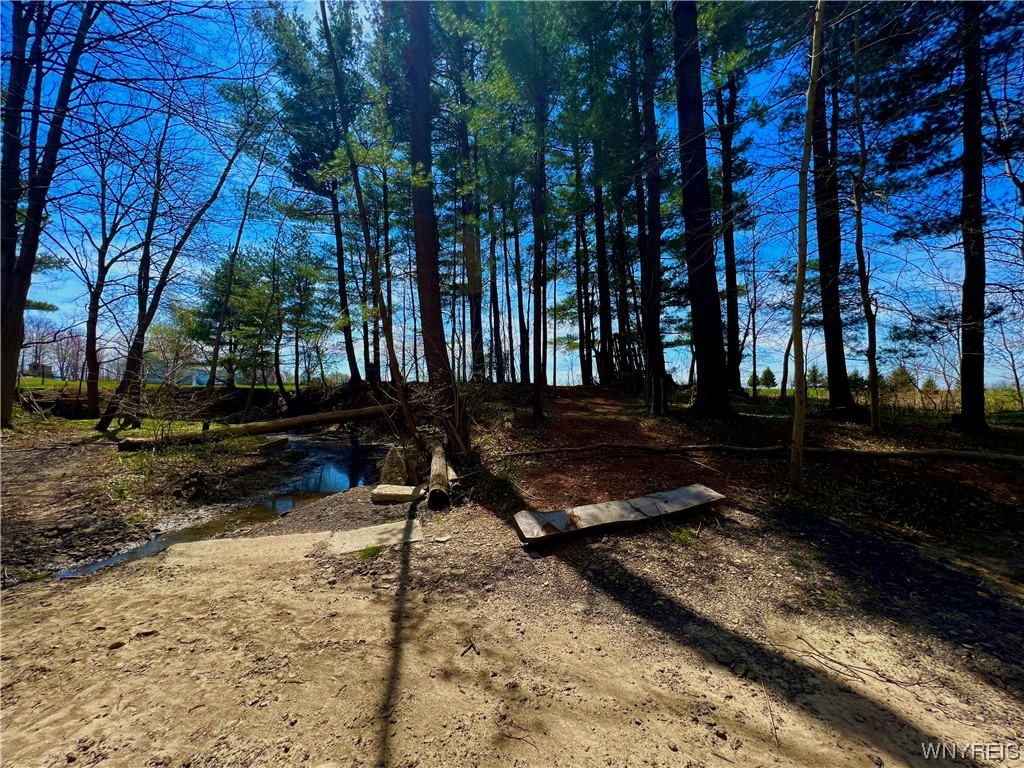 13986 North Division Road Collins, NY 14034 - Photo 11 of 50