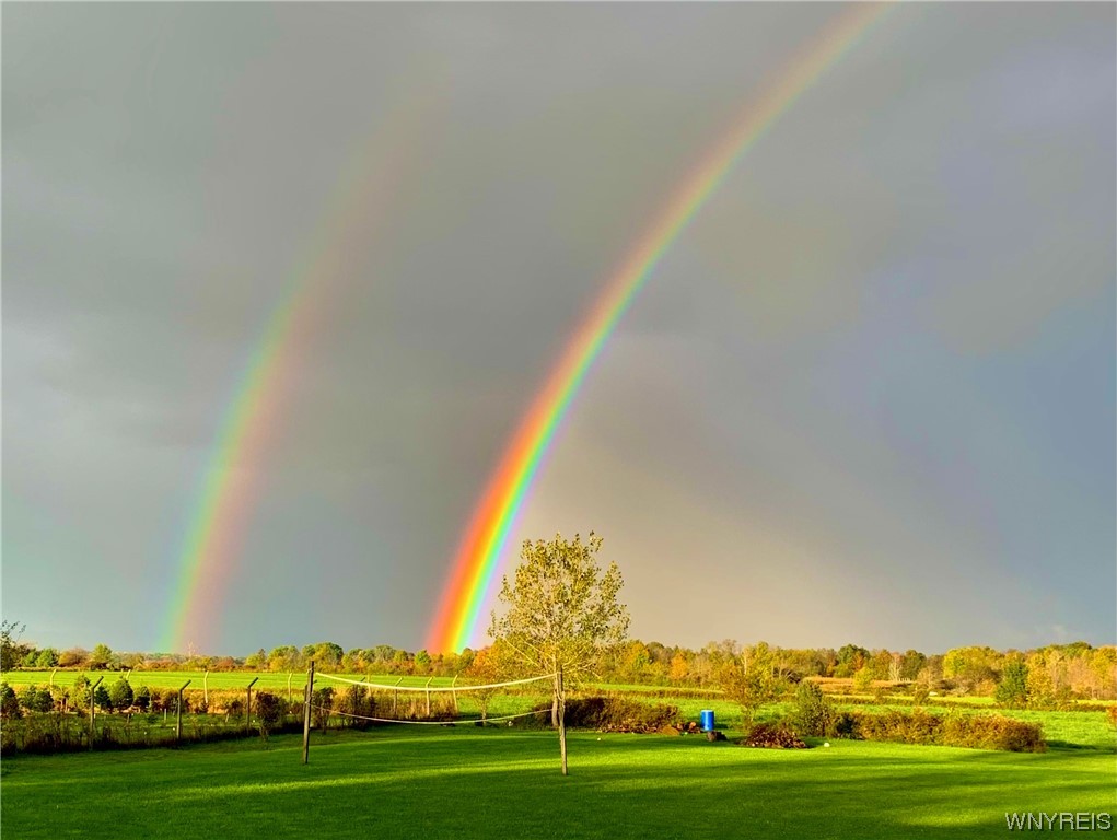 13986 North Division Road Collins, NY 14034 - Photo 3 of 50