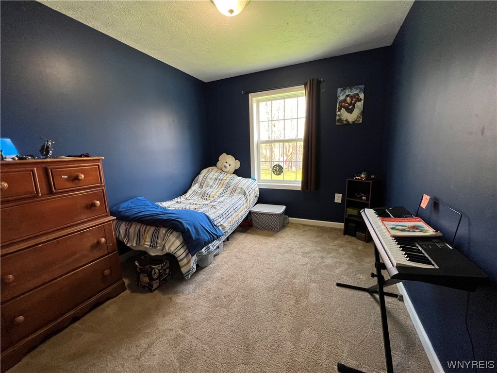 13986 North Division Road Collins, NY 14034 - Photo 36 of 50