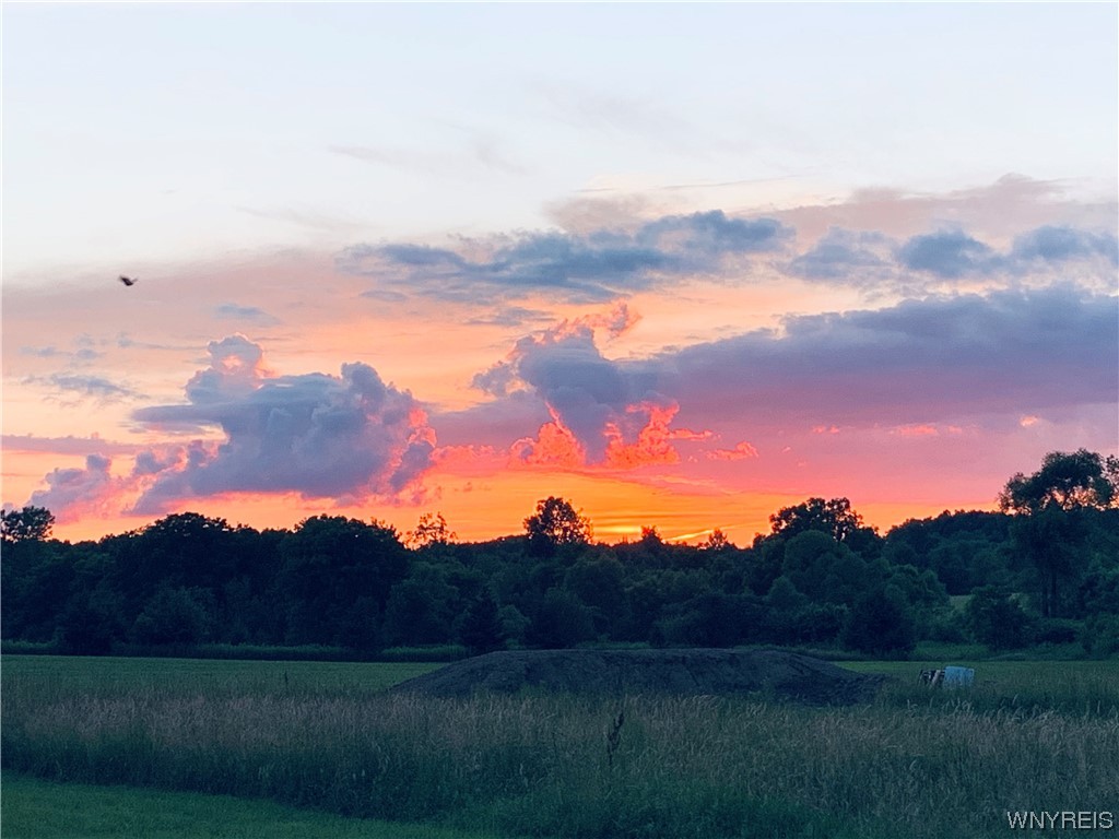 13986 North Division Road Collins, NY 14034 - Photo 6 of 50