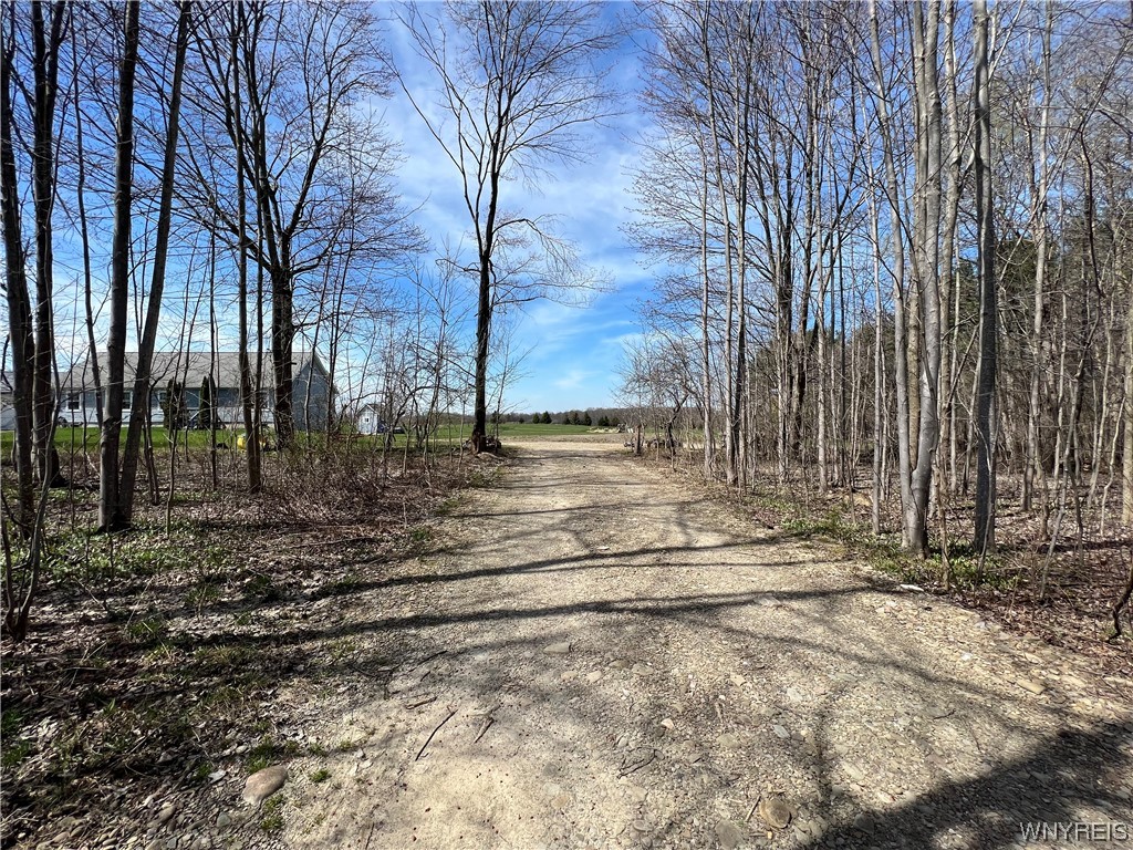 13986 North Division Road Collins, NY 14034 - Photo 8 of 50