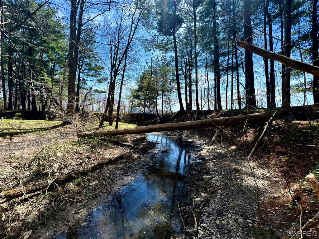 13986 North Division Road Collins, NY 14034 - Photo 10 of 50