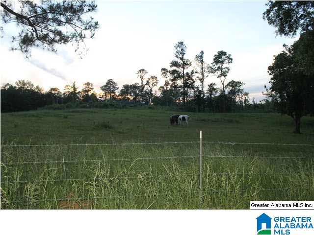 142 County Road, Unit 38 Roanoke, AL 36274 - Photo 4 of 6