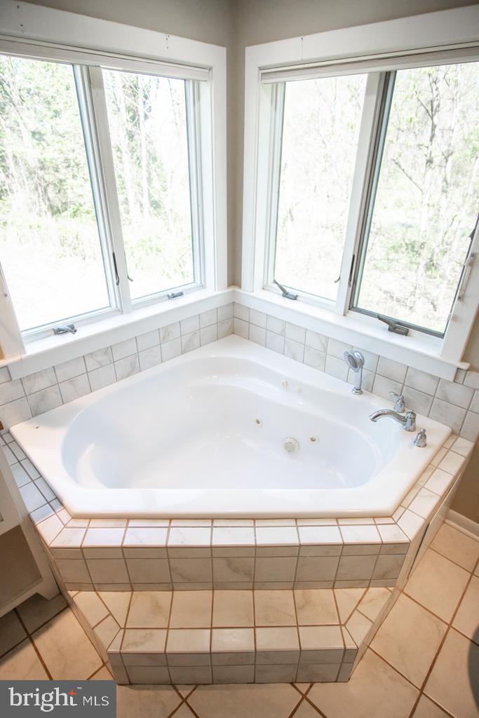 13316 Berkeley Road Orange, VA 22960 - Photo 11 of 44 master tub