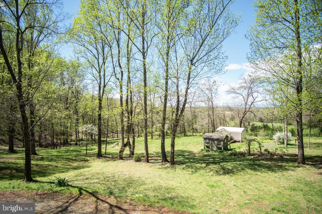 13316 Berkeley Road Orange, VA 22960 - Photo 24 of 44 Gallery Image 24