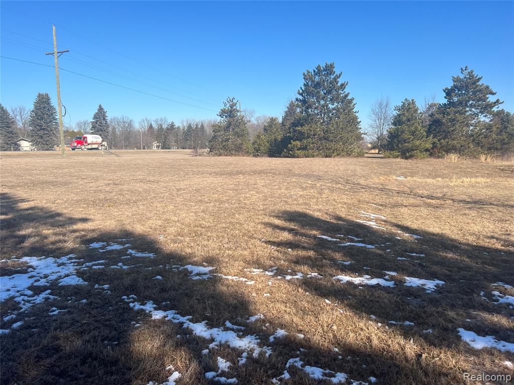 Vl Mertz Road Mayville, MI 48744 - Photo 5 of 15
