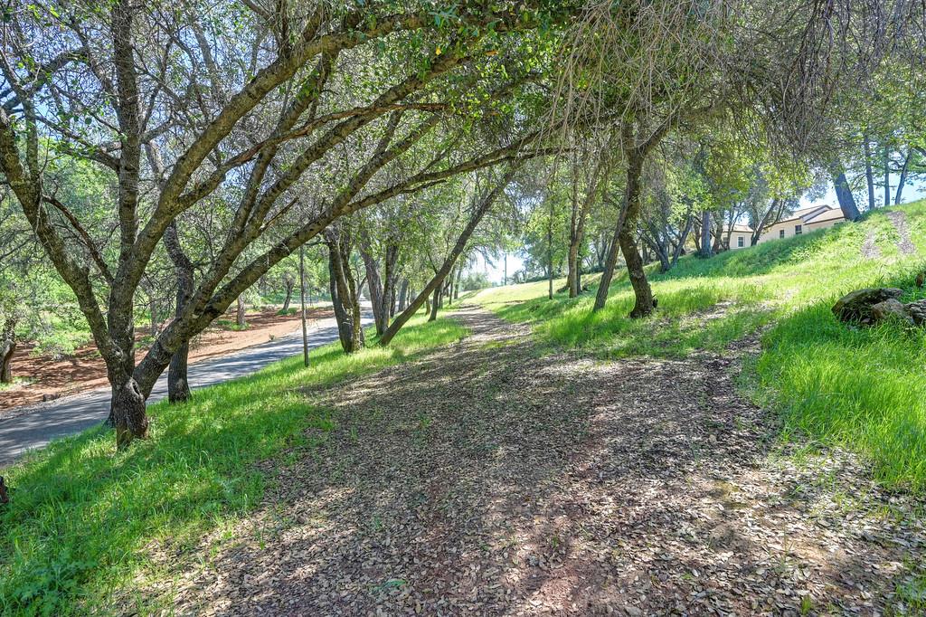 3716 Murphy Ranch Road Placerville, CA 95667 - Photo 11 of 87