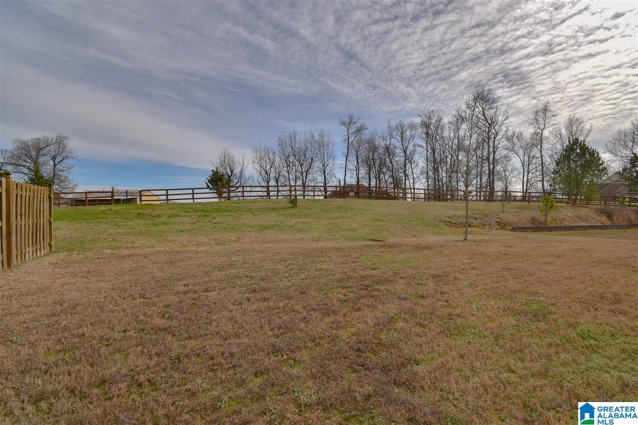 12839 Olmsted Circle McCalla, AL 35111 - Photo 3 of 23