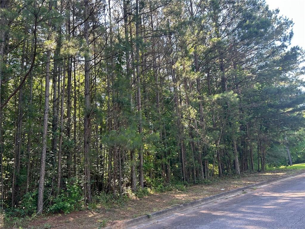 136 Harrison Place Hampton, GA 30228 - Photo 2 of 2