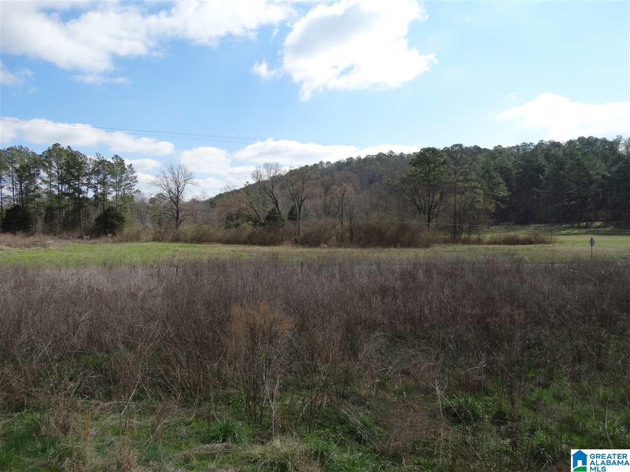8214 Highway 144 Ragland, AL 35131 - Photo 35 of 36