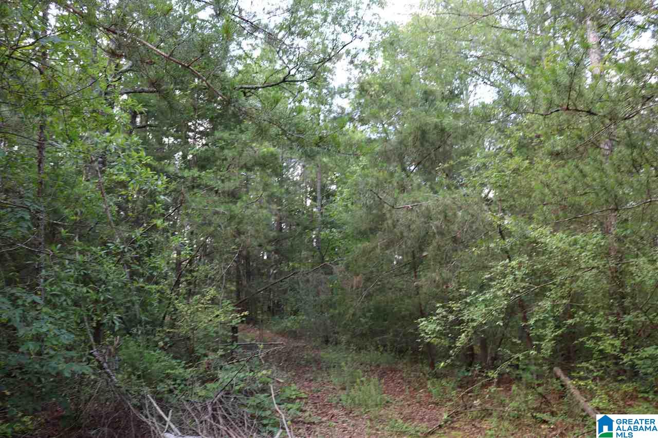 1121 Dry Valley Road, Unit 1 Lincoln, AL 35096 - Photo 4 of 7
