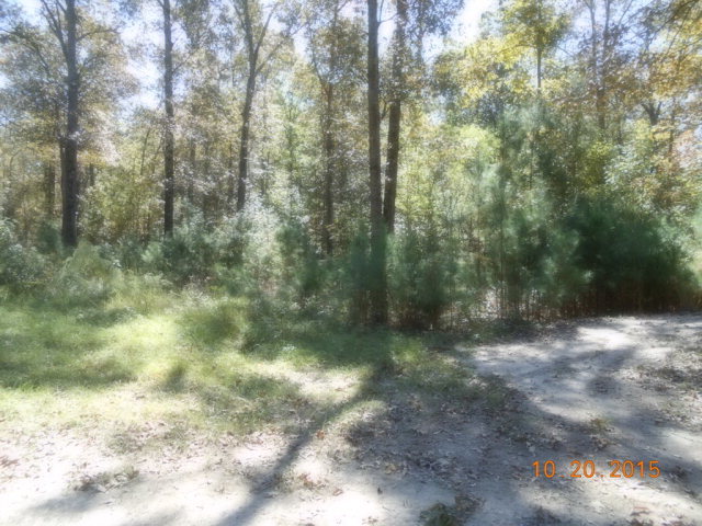 3873 Rowell Road Fort Valley, GA 31030 - Photo 1 of 6 a view of city view