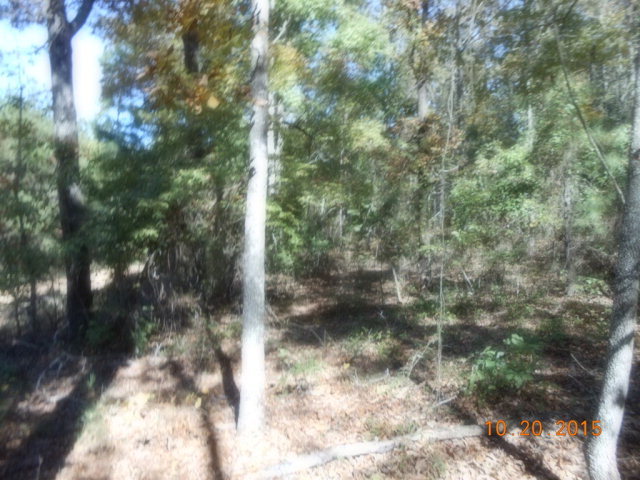 3873 Rowell Road Fort Valley, GA 31030 - Photo 2 of 6 a view of a yard